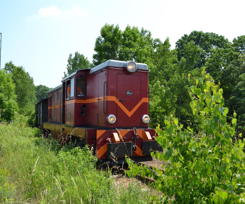 Górnośląska Kolej Wąskotorowa - informacje, historia, ceny biletów 