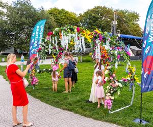 Wielki piknik kwietny – finał 40. edycji konkursu „Warszawa w kwiatach”