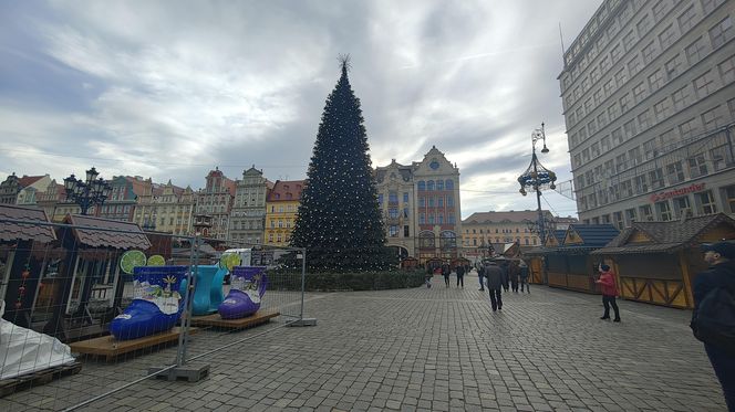 Choinka za milion złotych stanęła we Wrocławiu. Tak wygląda luksusowe drzewko 