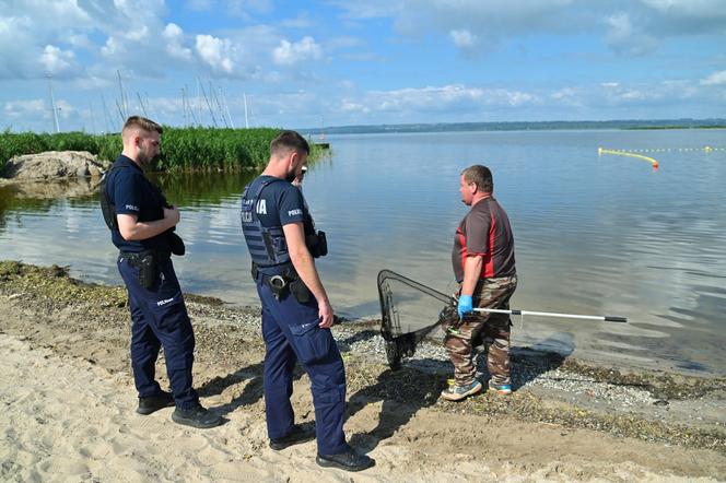 Jezioro Dąbie i śnięte ryby 