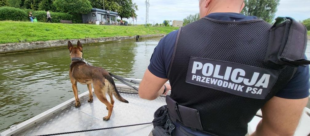 Szkolenie psów policyjnych nad Zalewem Zemborzyckim