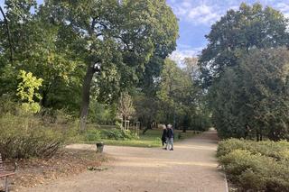 Jesień w parku Praskim