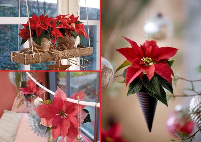 Wiszące dekoracje świąteczne nad stół, na okno, na drzwi. Inspirujące DIY krok po kroku