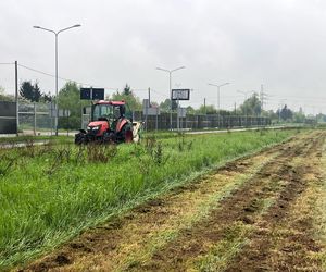 Miasto zaczyna koszenie traw. Będzie rzadsze, a mieszkańcy zwracają uwagę na jedną rzecz