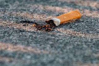 Cmentarne faux pas. Nie chcesz się wstydzić? Nie rób tych rzeczy 