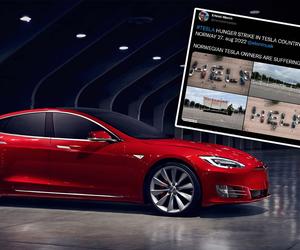 Kupili Teslę za 300 tysięcy złotych, teraz muszą głodować i proszą o pomoc