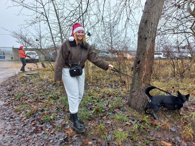 Bieg z seniorkiem - akcja schroniska w Hnerykowie dla podopiecznych psów