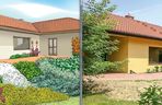 Rośliny na słoneczny taras