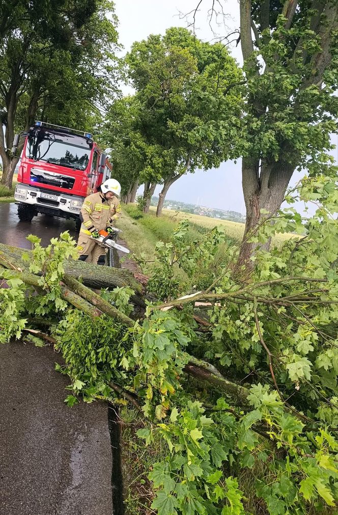 Strażacy z woj. lubelskiego interweniują przy usuwaniu skutków gwałtownych burz