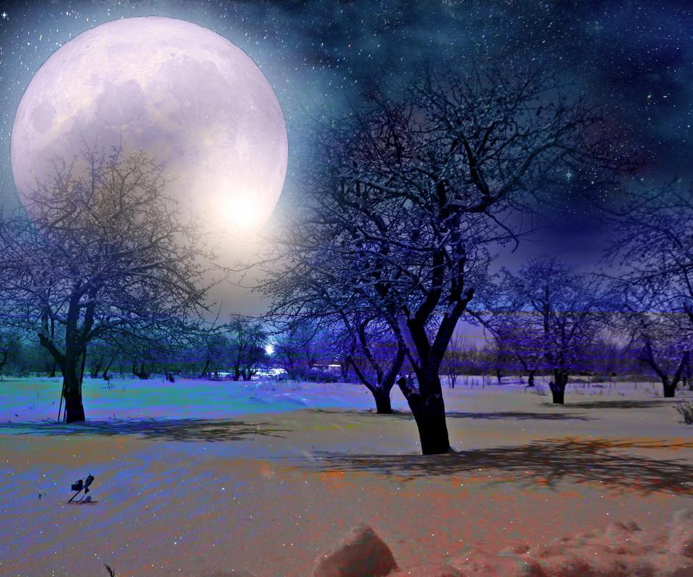 Pełnia Księżyca w grudniu 2023. Kiedy jest i jak się nazywa?