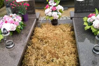 Lutynia pod Pod Wrocławiem. Małżeństwo ofiarą ataków sąsiadów za poparcie Trzaskowskiego [ZDJĘCIA]