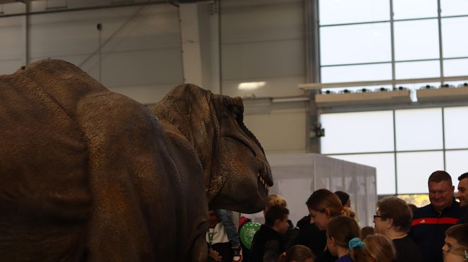 Tak wyglądał Zoopark 2024 w Lublinie! Zobacz zdjęcia