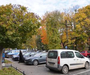 Kolorowe drzewa i klimatyczne kamienice. Ta ulica w Olsztynie zachwyca jesienią [ZDJĘCIA]