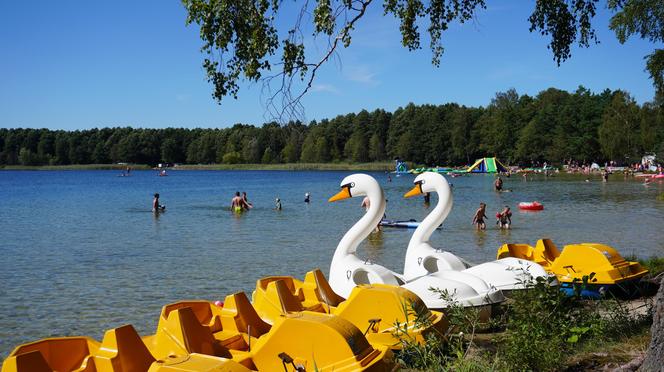 Jezioro Zagłębocze na Lubelszczyźnie kusi turystów z całego kraju! ZDJĘCIA