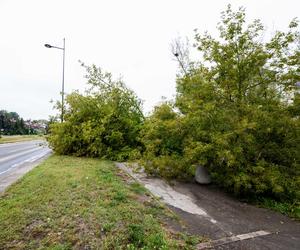 Dramat mieszkańców Warszawy. Zalane osiedla i gigantyczne zniszczenia