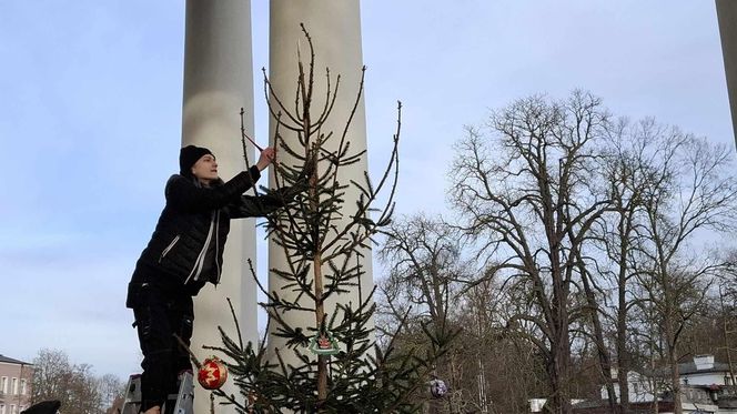 Udekorowana choinka stanęła na środku rzeki w Kaliszu