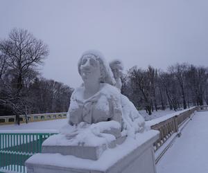 Białystok pod śniegiem. Tak prezentuje się zasypana stolica Podlasia