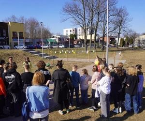 Nowa przestrzeń rekreacji i wypoczynku w Żorach. Postanie Skwer Praw Kobiet przy ulicy Boryńskiej