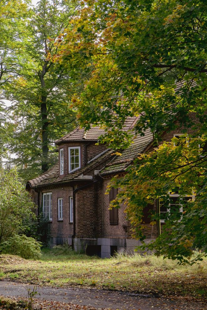 Kolonia amerykańska w Giszowcu - Katowice