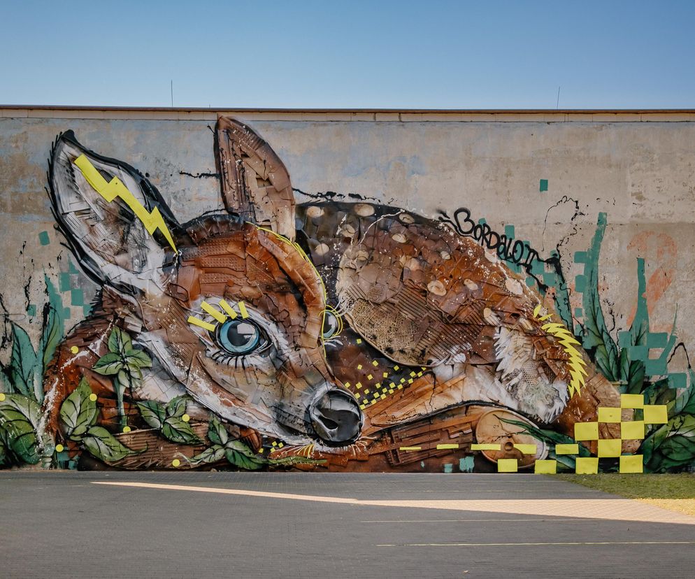 Nowy mural Bordalo II przy ul. Słowiańskiej w Łodzi