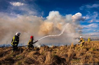 Pożar w Biebrzańskim Parku Narodowym objął już 400 ha!