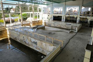 Remont Akwawitu najnowsze zdjęcia 