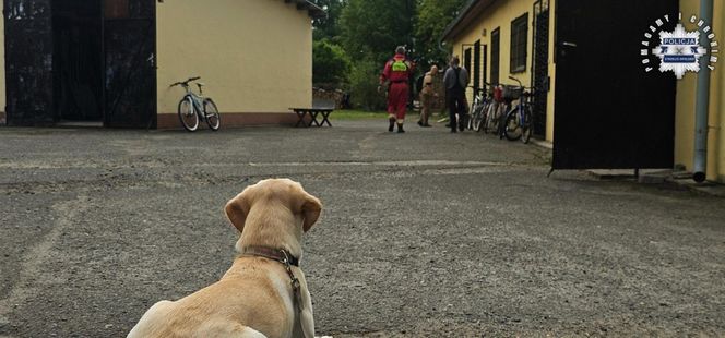 Zaginiona dziewczynka z Dziewkowic odnaleziona. Policja zatrzymała mężczyznę