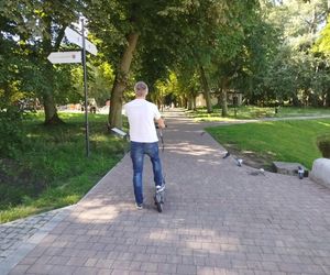 Czy hulajnogi elektryczne powinny jeździć po parku Aleksandria?