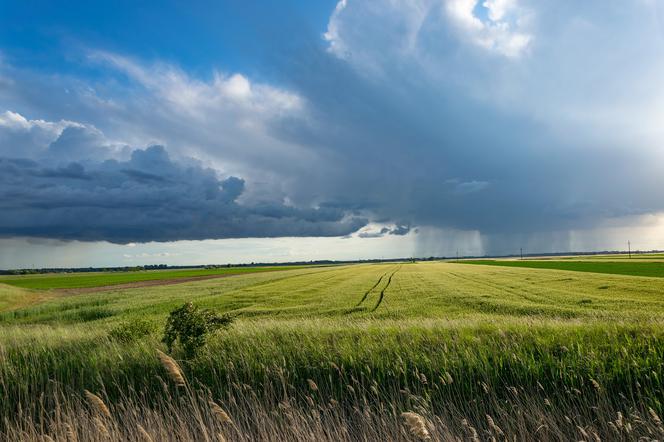 Burze i deszcze znowu nad Polską. Pogoda w poniedziałek, 19 lipca znów będzie niebezpieczna