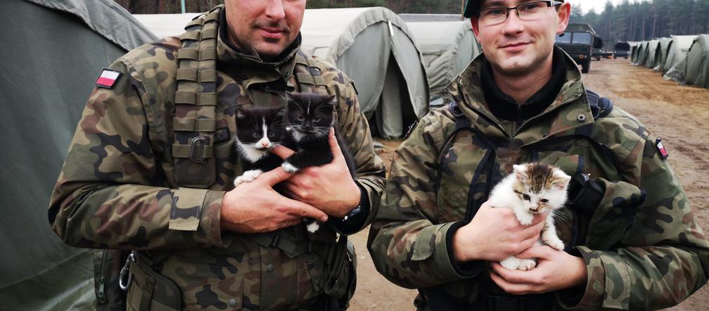 Wielka serca bydgoskich żołnierzy! Uratowali życie trzech małych kotów!