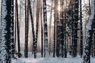 Śnieg w lipcu?! Paskudna pogoda zniszczy plany urlopowiczów!