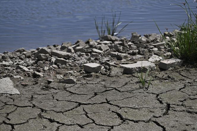 Alarm! Wisła wysycha na naszych oczach. Katastrofalny poziom wody w Warszawie