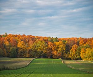 Jesień – idealny czas na odkrywanie Roztocza. Południoworoztoczański Park Krajobrazowy 