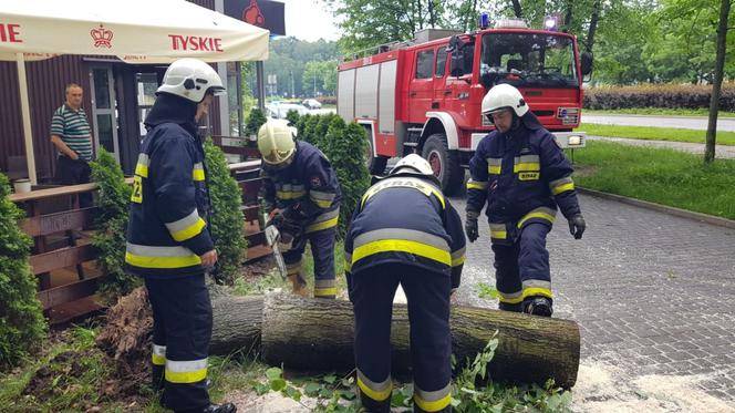 Burze z gradem w Podlaskiem. Powalone drzewo przygniotło samochód [ZDJĘCIA]