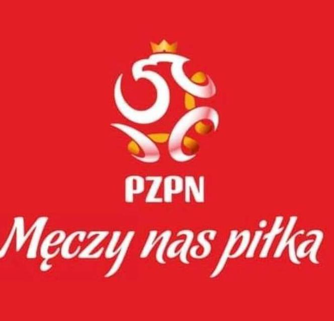 Mecz Polska - Szwecja: MEMY PO MECZU. Polska odpada z Euro 2020 [ZDJĘCIA]