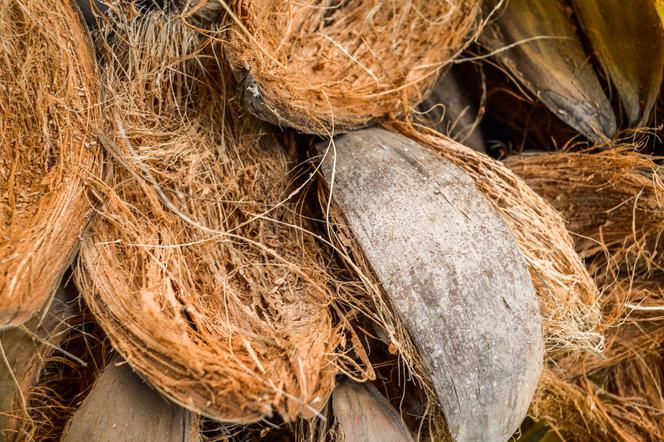 Włókno kokosowe