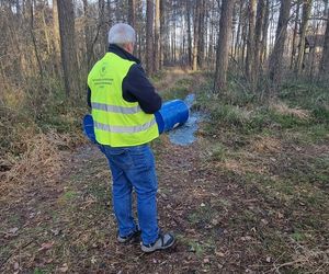 W okolicach Piotrkowa i Tuszyna znaleziono porzucone beczki