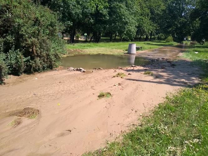 Park Skaryszewski pod wodą. Pękła rura wodociągowa