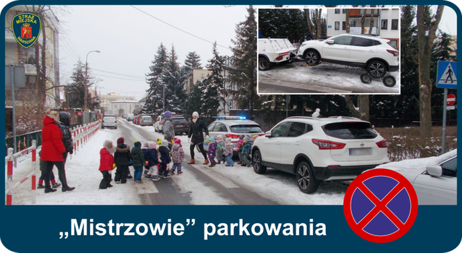 Mistrzowie parkowania. Tak kierowcy parkują w Warszawie