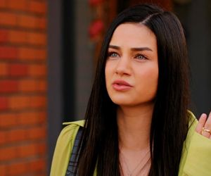 Miłość i nadzieja odc. 280. Kuzey, Bahar