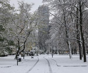 Stolica pod śniegiem 