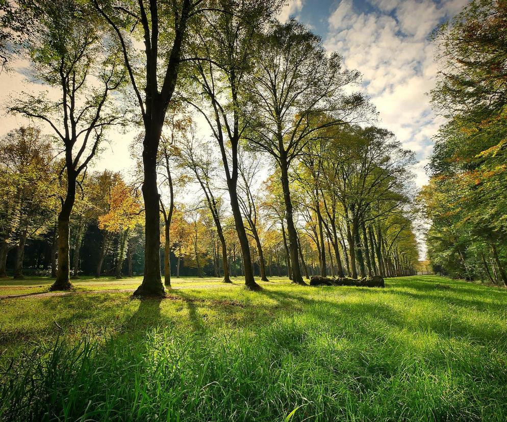 Białystok: 15 sierpnia w mieście odbędzie się Electrum Ambient Park