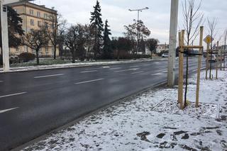 Niebezpieczne przejście dla pieszych u zbiegu Al. 23 stycznia i ulicy Focha