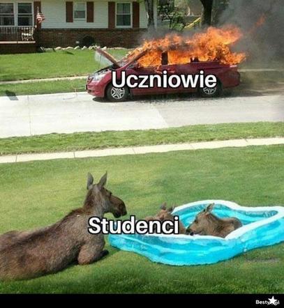 Memy o szkole 2020. Nauka u dobie koronawirusa. Żarty z nowej sytuacji 