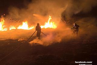 Pożar w rezerwacie przyrody Stawy Raszyńskie. Ogień trawi trzcinę