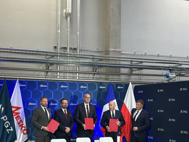 PGZ, MESKO i EURENCO