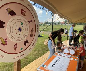 Rodzinny Piknik Lotniczy w Gryźlinach 2025