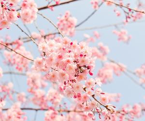 Horoskop tygodniowy 10.04. – 16.04. Odejdź od wielkanocnego stołu i sprawdź, co Cię czeka. Ten znak zodiaku nie może liczyć na spokojny tydzień