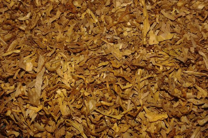 W domu handlarzy znaleziono 20 kg tytoniu