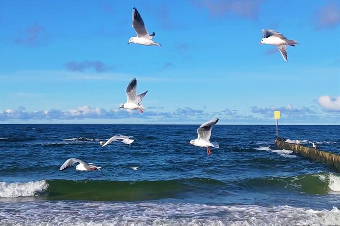 Kołobrzeg po sezonie